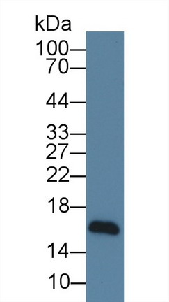10493