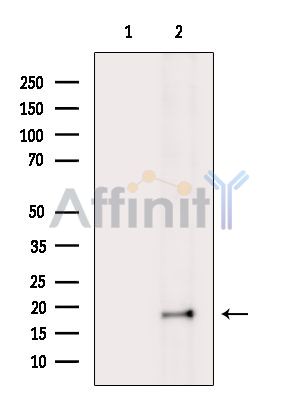 Валидация Affinity DF15445 - 11789