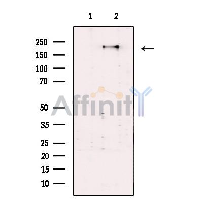 Валидация Affinity DF13492 - 8871