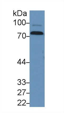 13340