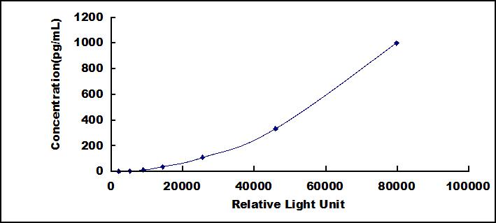 38427