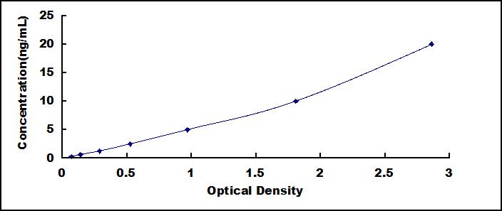38207