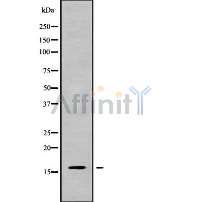 Валидация Affinity DF9316 - 21782