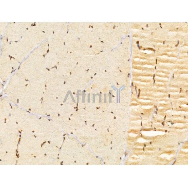 Валидация Affinity DF13027 - 7844