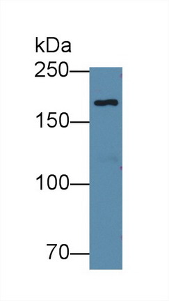 8913