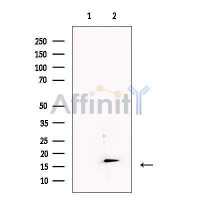 Валидация Affinity DF13488 - 8863