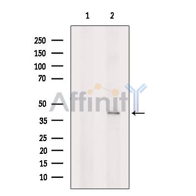 Валидация Affinity DF4515 - 16080