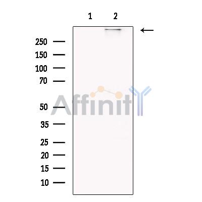 Валидация Affinity DF13244 - 8303