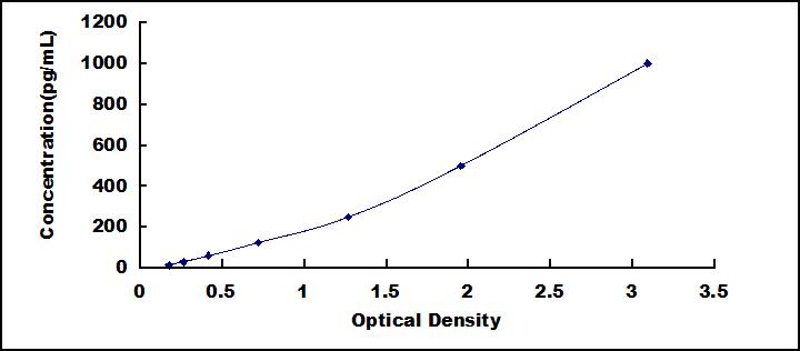 64247