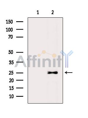 Валидация Affinity DF2471 - 13110