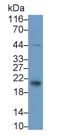 12348