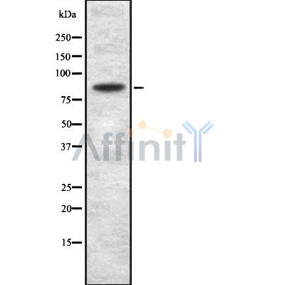 Валидация Affinity DF8849 - 20930