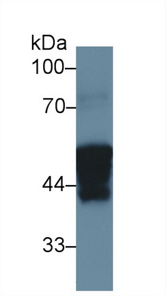 13318