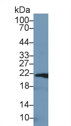 13744