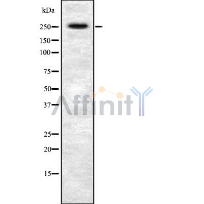 Валидация Affinity DF8820 - 20879