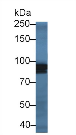 14380
