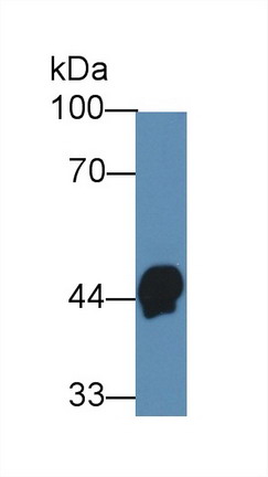 28330