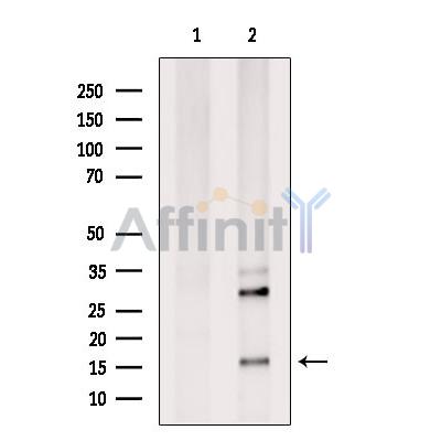 Валидация Affinity DF13324 - 8495