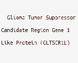 Glioma Tumor Suppressor Candidate Region Gene 1 Like Protein (GLTSCR1L)