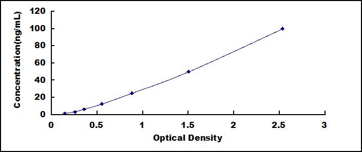 50838