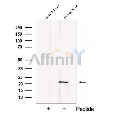 Валидация Affinity DF12922 - 7675