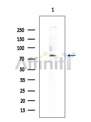Валидация Affinity DF4549 - 16136