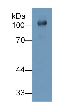 12345