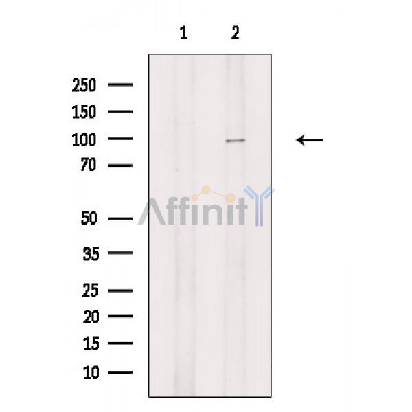 Валидация Affinity AF6882 - 4095