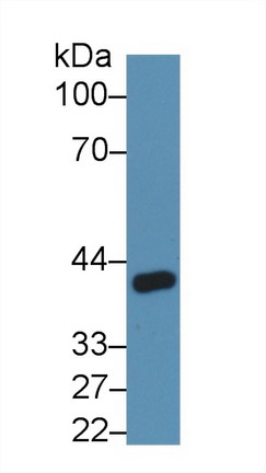 9822