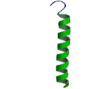 Surfactant Associated Protein C (SPC)