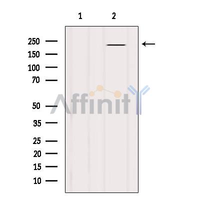 Валидация Affinity AF6288 - 3548