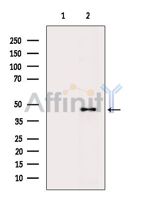 Валидация Affinity DF2664 - 13360