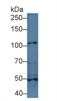 8571