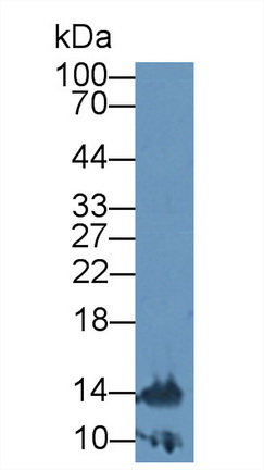 9074