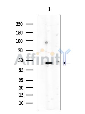 Валидация Affinity DF10270 - 5875