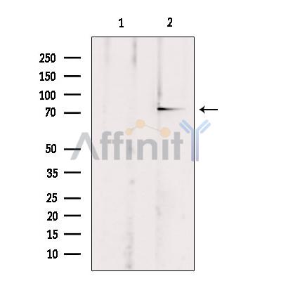 Валидация Affinity DF3811 - 14932