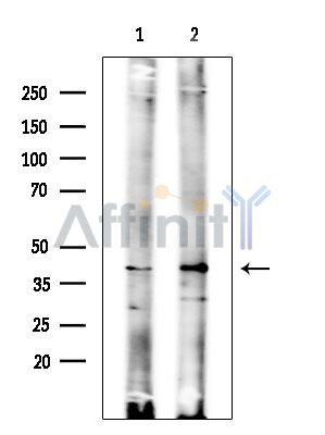 Валидация Affinity DF15821 - 12314