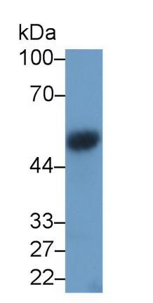 21649