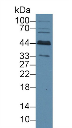 8873