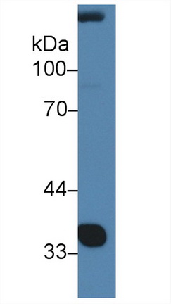 9417