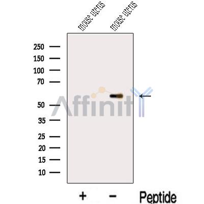 Валидация Affinity DF13150 - 8103