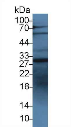 9371