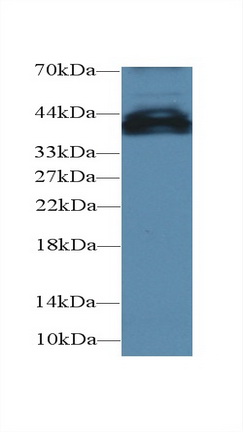 17639