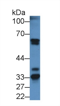 12879