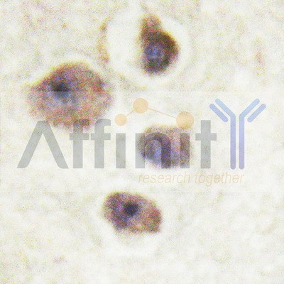 Валидация Affinity AF6397 - 3691
