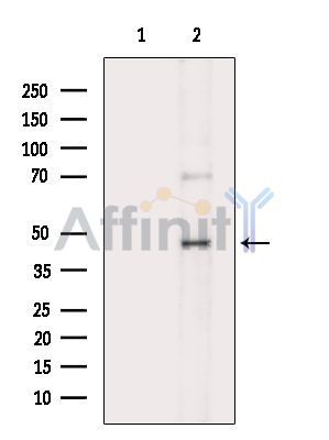 Валидация Affinity DF15330 - 11631