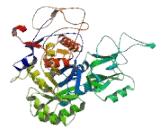 Inosine 5"-Monophosphate Dehydrogenase 2 (IMPDH2)