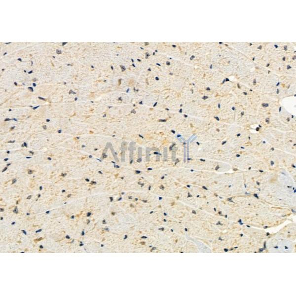 Валидация Affinity DF10081 - 5566