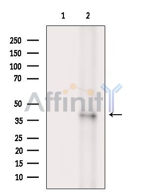 Валидация Affinity DF14008 - 9767