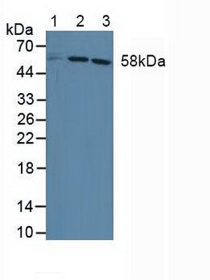 5122